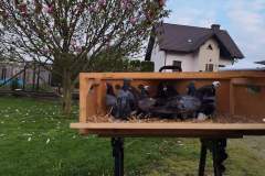 FB_IMG_1652718676579