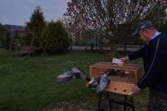 FB_IMG_1652718682593